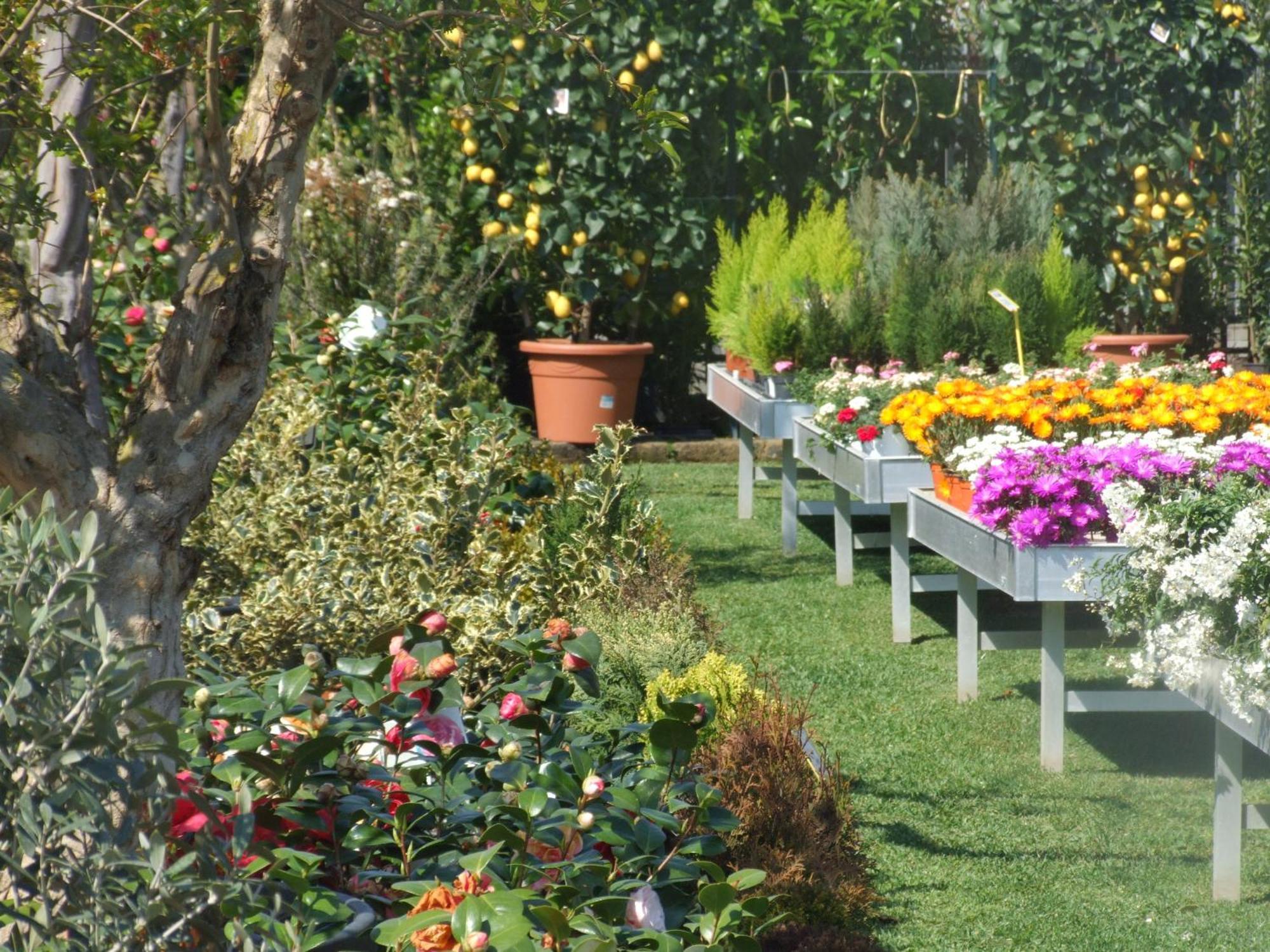 Bed and Breakfast Residenza I Ciclamini Roma Exterior foto