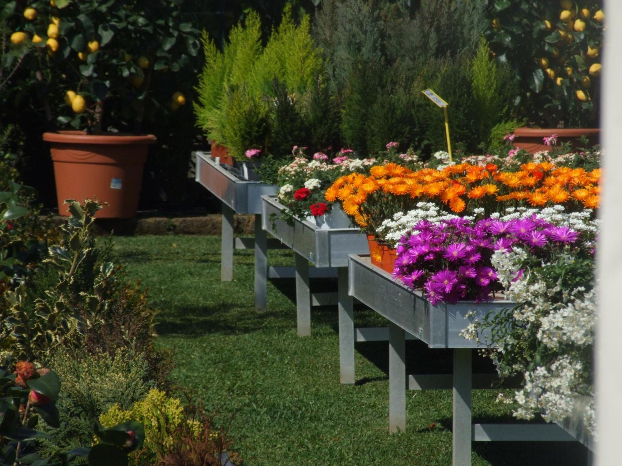 Bed and Breakfast Residenza I Ciclamini Roma Exterior foto