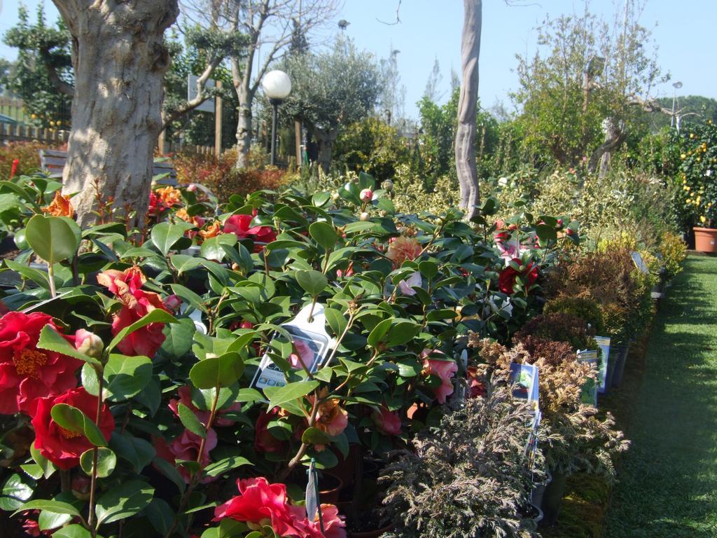 Bed and Breakfast Residenza I Ciclamini Roma Exterior foto