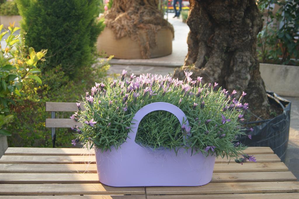 Bed and Breakfast Residenza I Ciclamini Roma Exterior foto